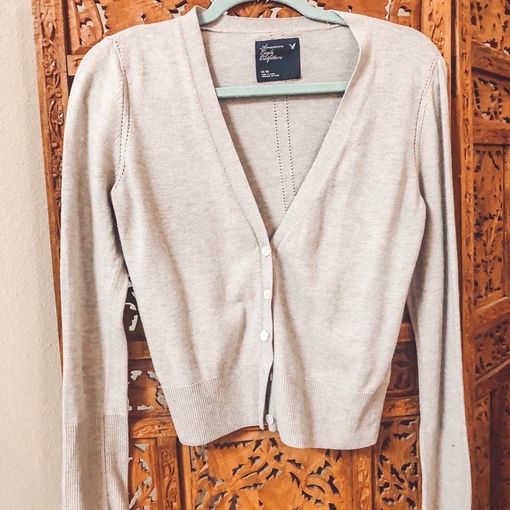 American Eagle Cardigan
